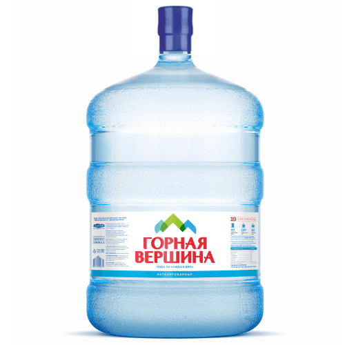 «Горная Вершина» 19л.